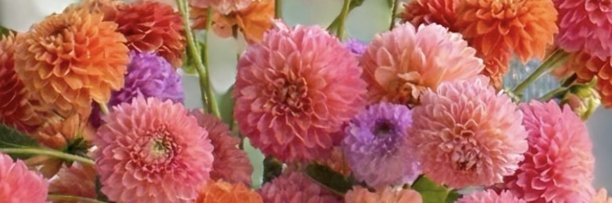 Arabella🎗️'s banner