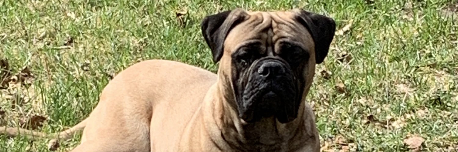ackabee_barb's profile banner image