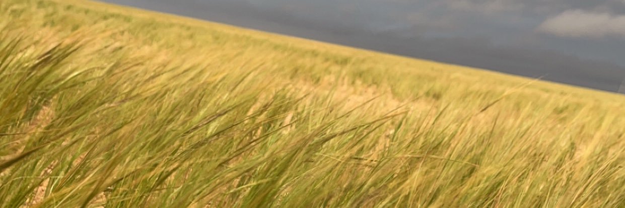 AlmunefB's profile banner image