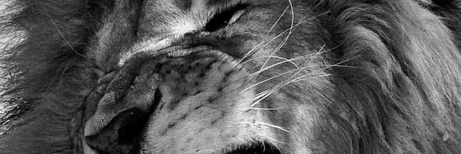 PrinceEdwardT's profile banner image