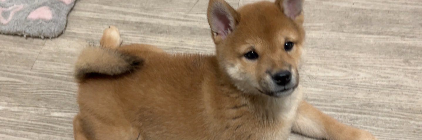 TTY（西安） banner