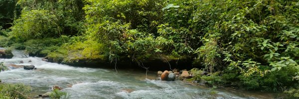 fodesna Profile Banner