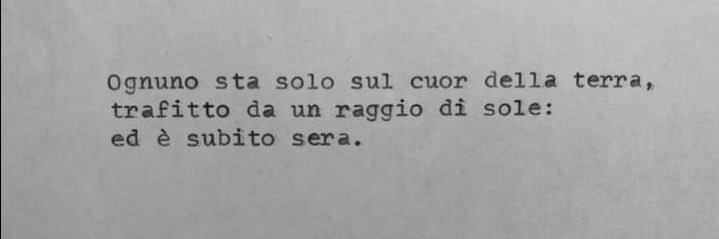 Marica.r🪁💙 banner