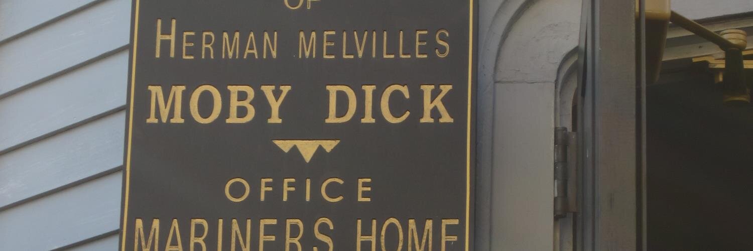 Susanne Meinecke banner