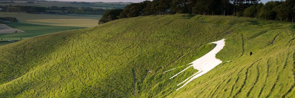 EFA Training Ltd banner