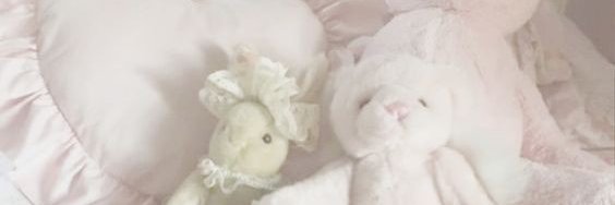 🍰Veem🍰's banner
