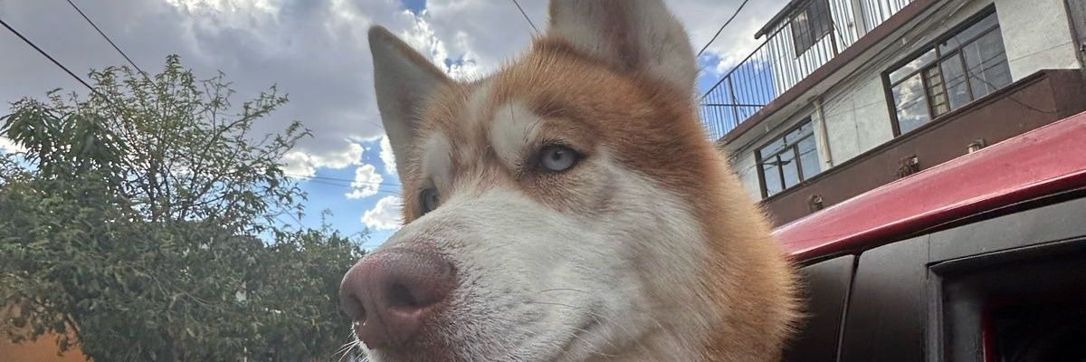 LicJorgeMerlo's profile banner image