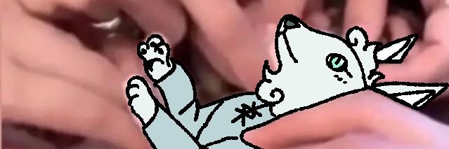 dduckyy+ banner