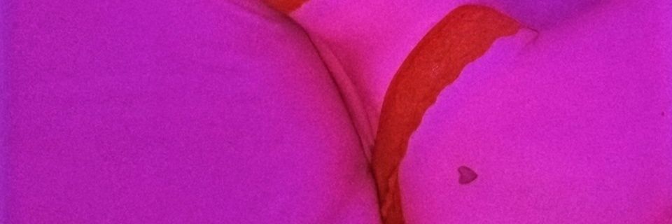 LeandraLira20's profile banner image