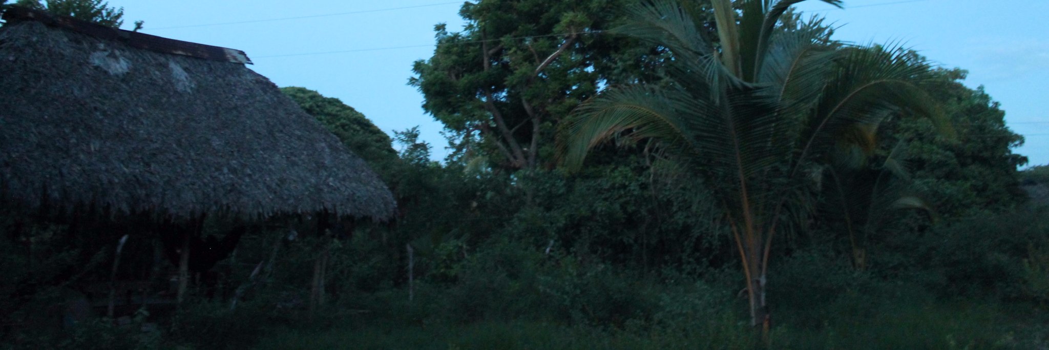 teahetc's profile banner image