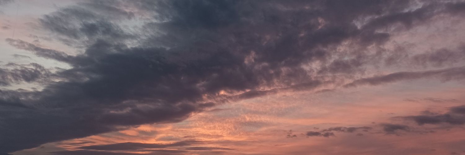 Augusta 💀🌊🦙 banner