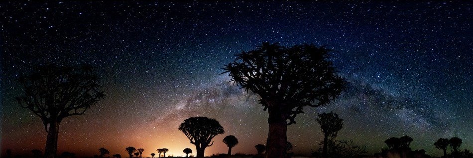 __ealves's profile banner image
