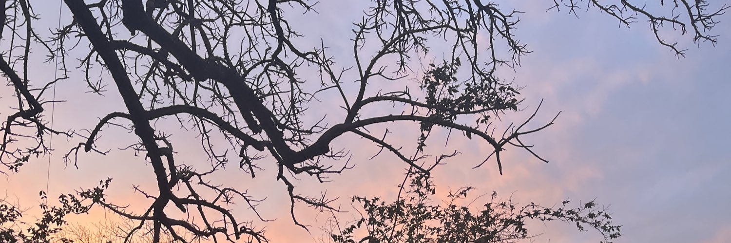 EricSebas_'s profile banner image
