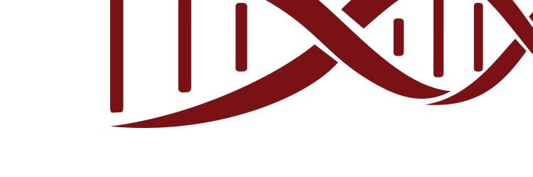 3 Strand Sports & Entertainment's banner