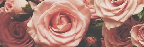 alymarie413's profile banner image