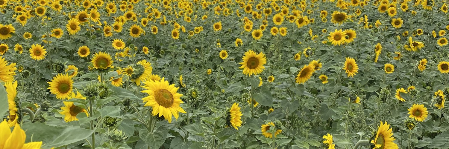 Alexandra Short banner