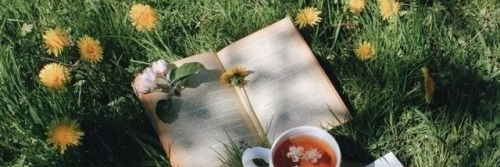 pressed.flower.books banner