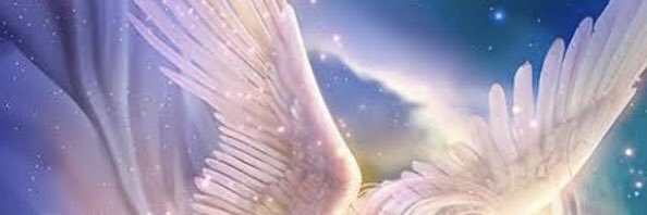 t_m_82253's profile banner image