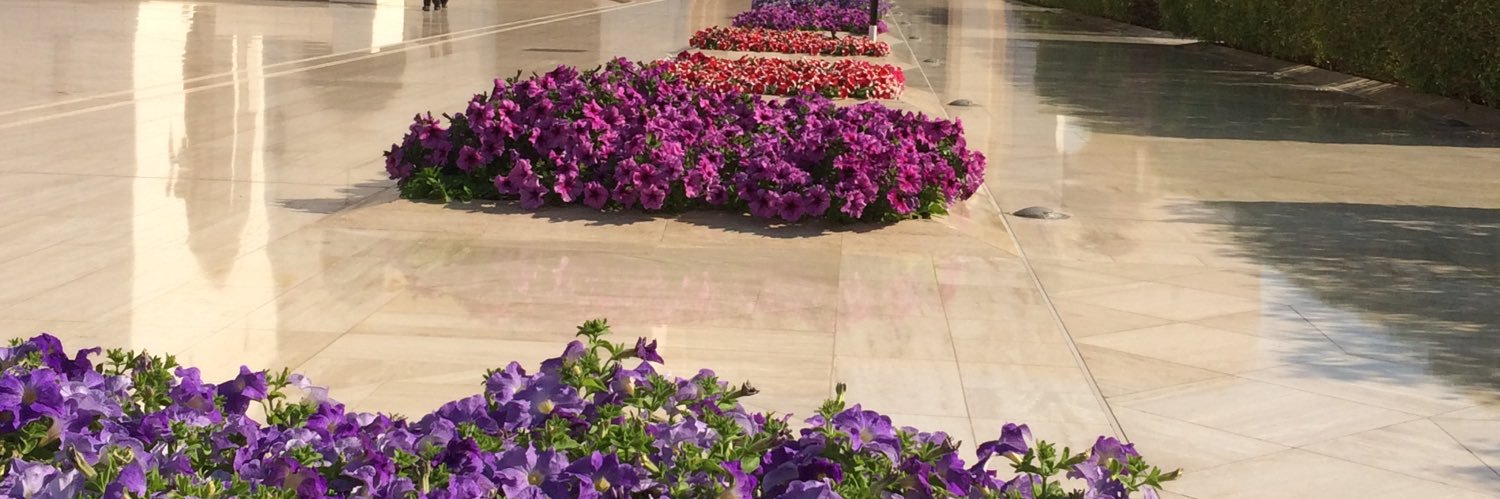 AdorableQueen✨ banner