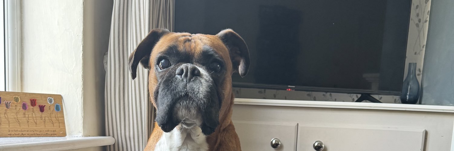 Nathan🏳️‍🌈🇵🇸 banner