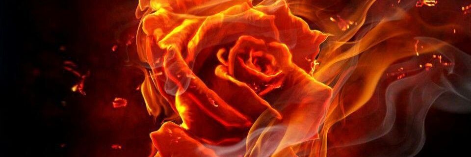 solyrfleur banner