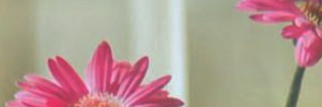 ra banner