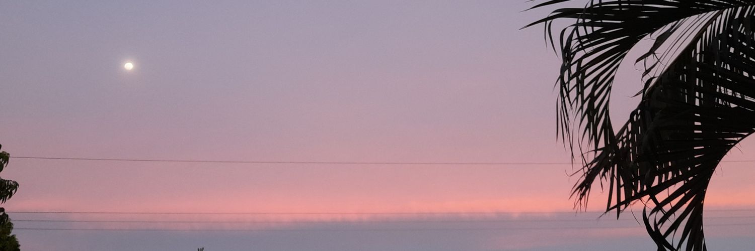 xaramia's profile banner image