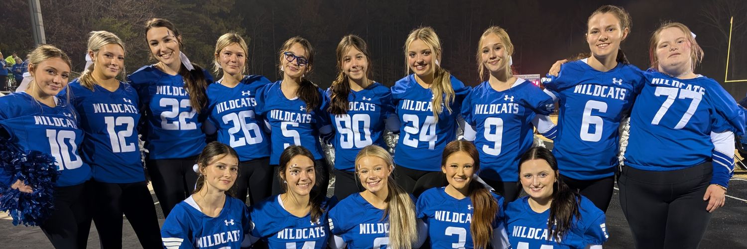 SDHS Varsity Cheer banner