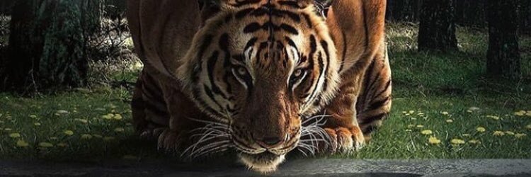 ItsFranc__'s profile banner image