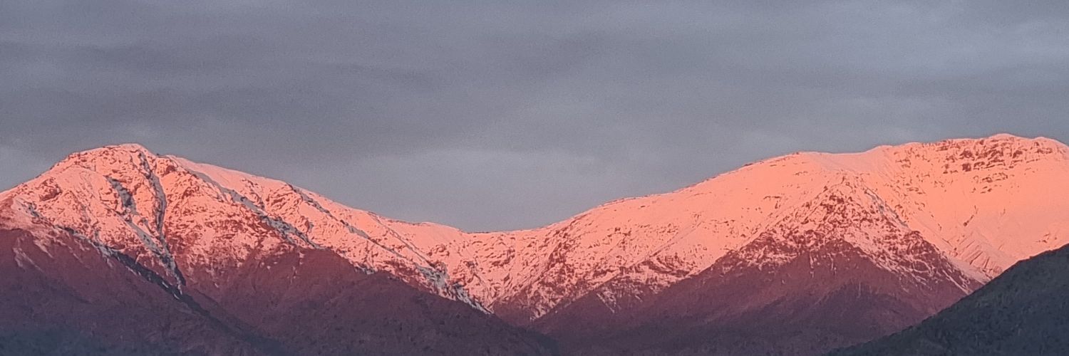 Giselle Muschett banner