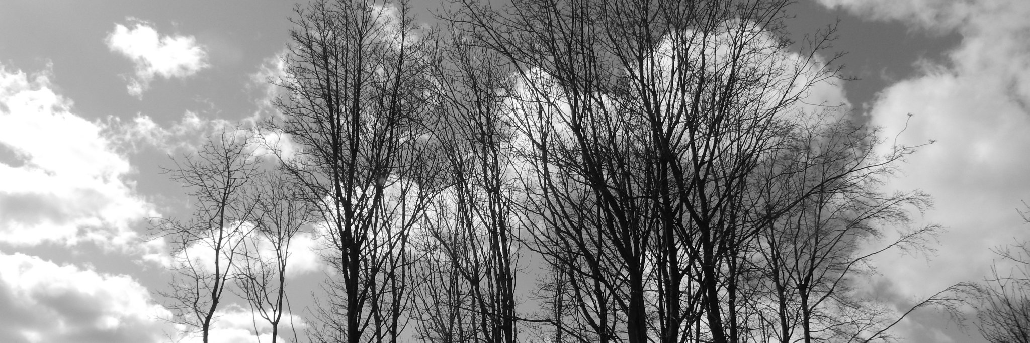 MidnightRuby123's profile banner image