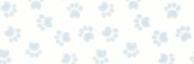jellvpop's profile banner image