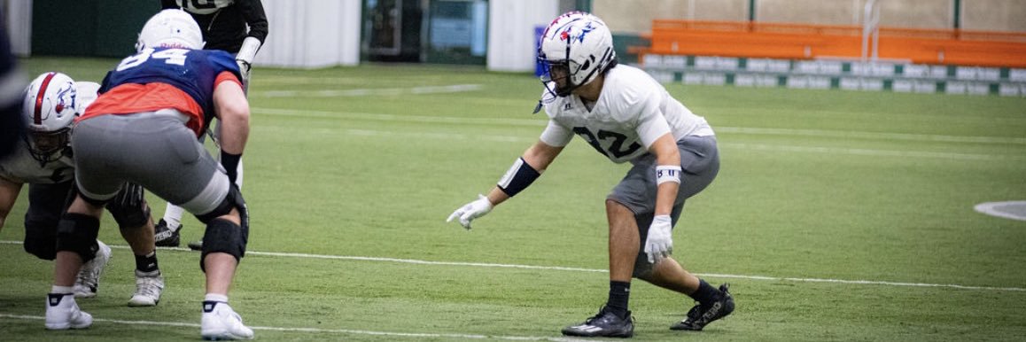 Michael Johnson banner