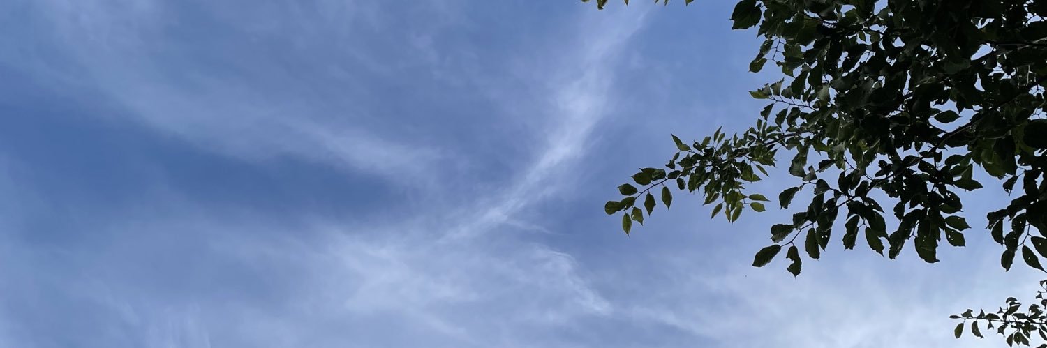 lemonadejaz's profile banner image