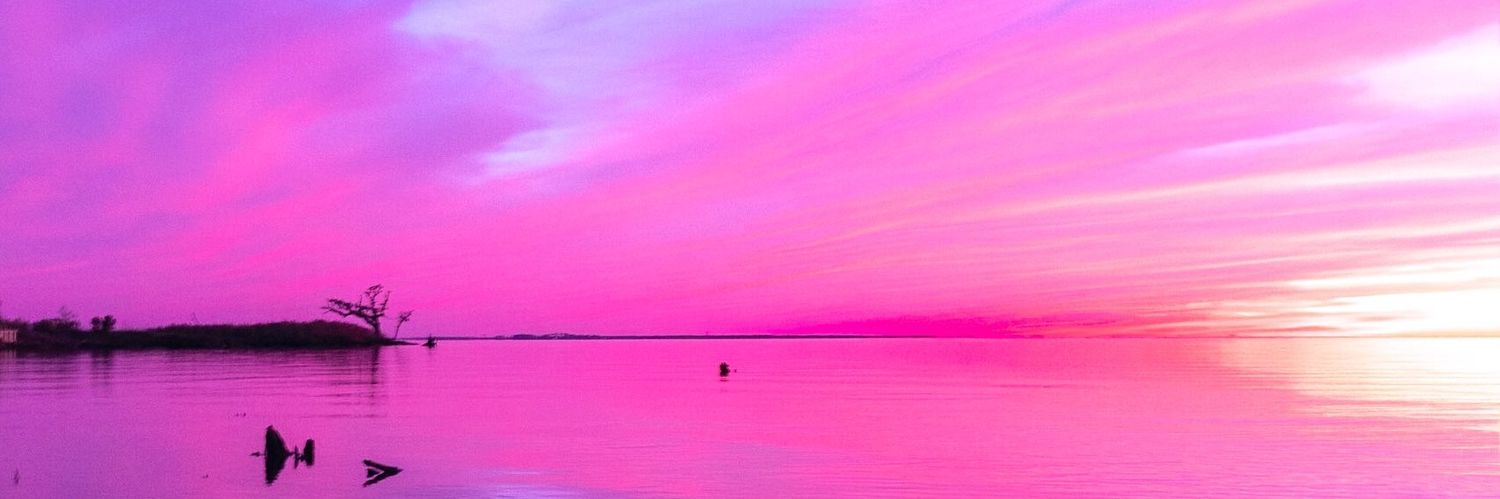 sellycheeks's profile banner image