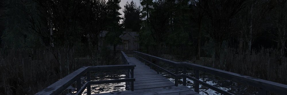 Cogito ergo sum banner