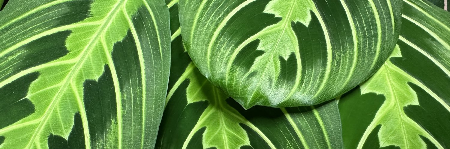 PottedPlants.org banner