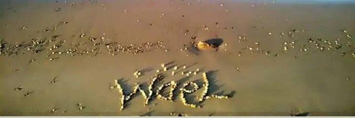 WaeL banner
