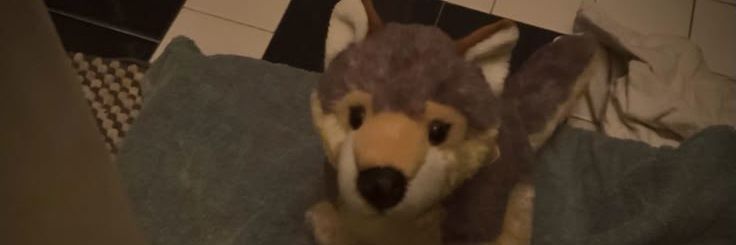 wolpurin's profile banner image