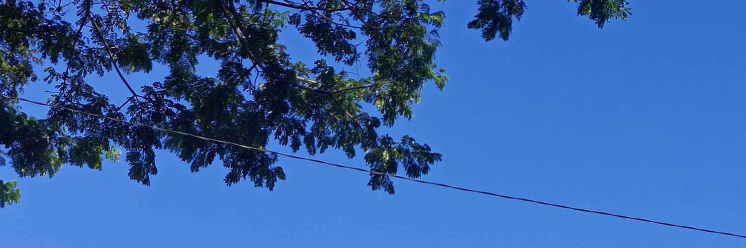 tachiyaahuuu's profile banner image