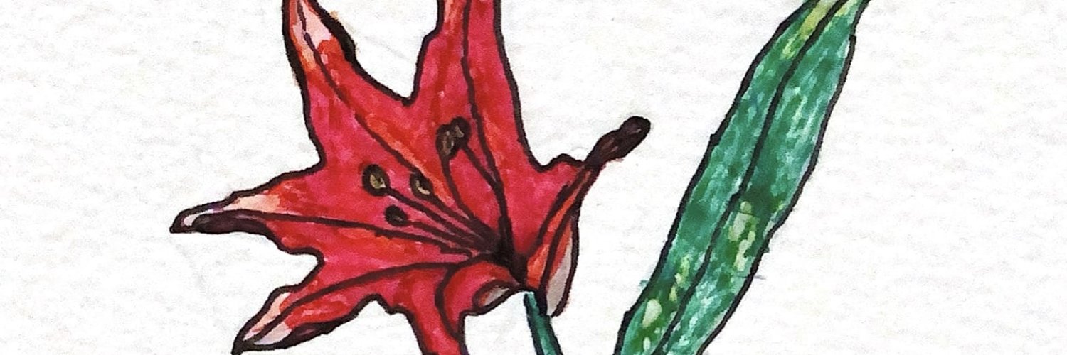 hiromichi ngs banner