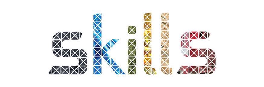 Next Level Skills banner