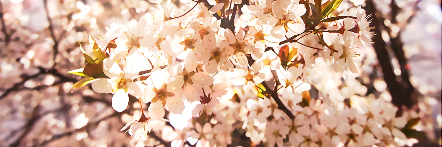An_Liel's profile banner image