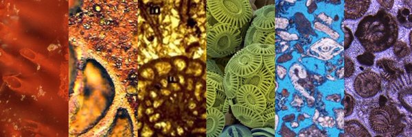 MicropalaeoSoc Profile Banner