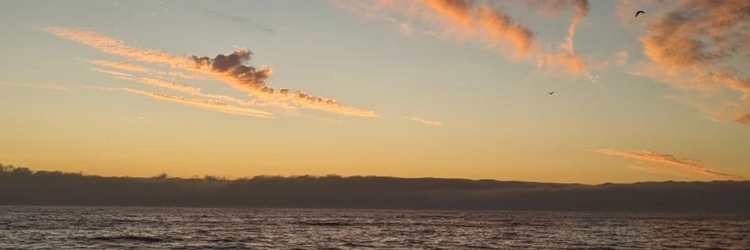 sofiia_trigo's profile banner image