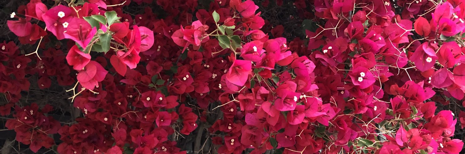 labarba53's profile banner image