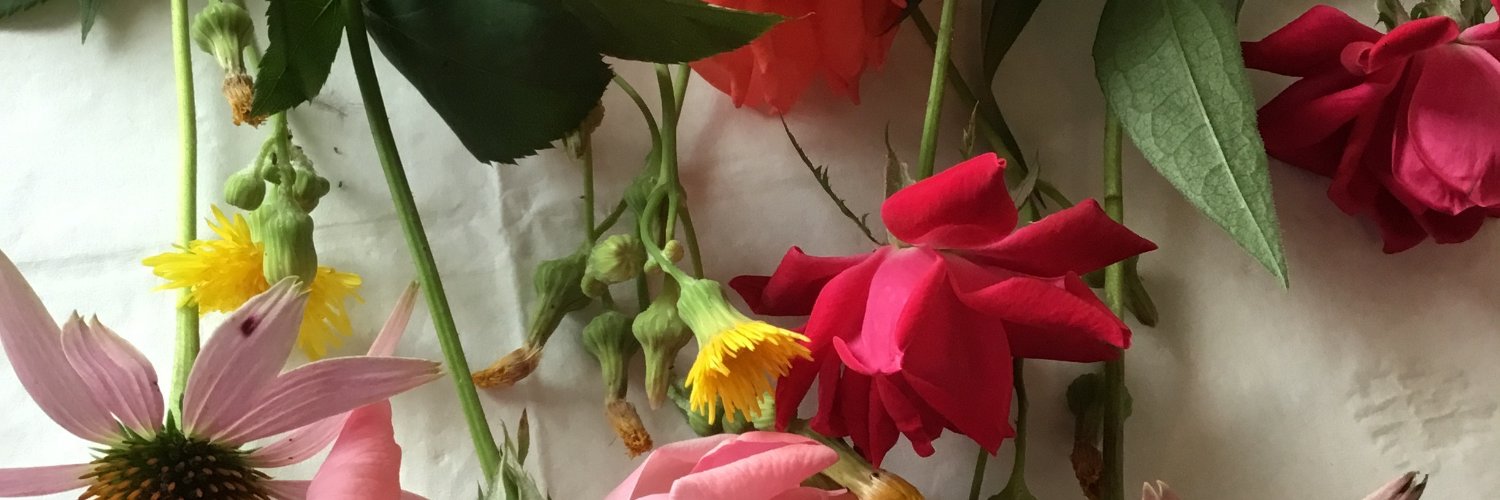 WritingMATL's profile banner image