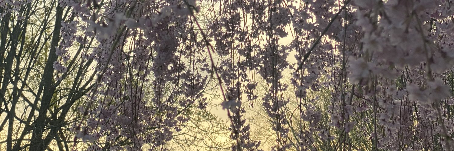 jessiesearles's profile banner image