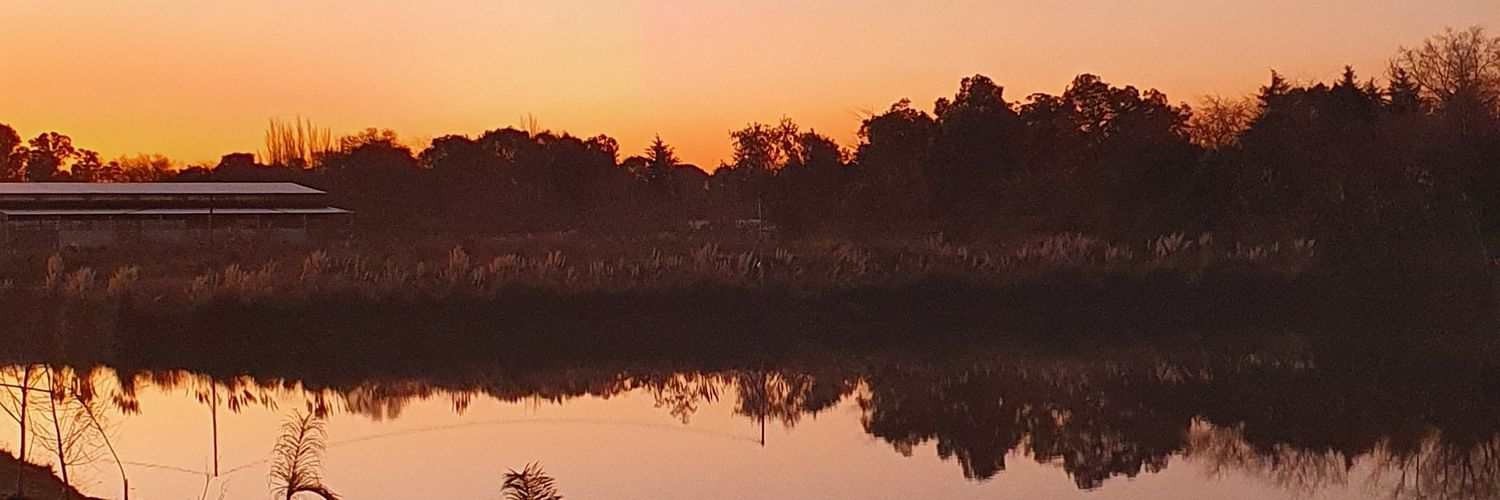ericapeix's profile banner image