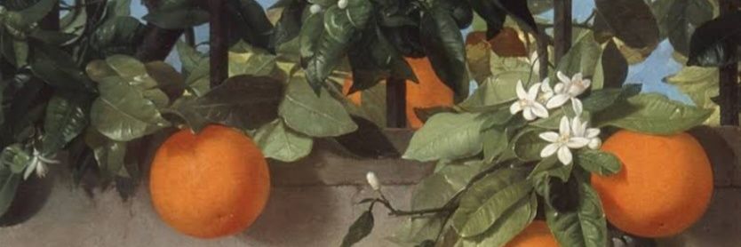 Fritz Spritz banner